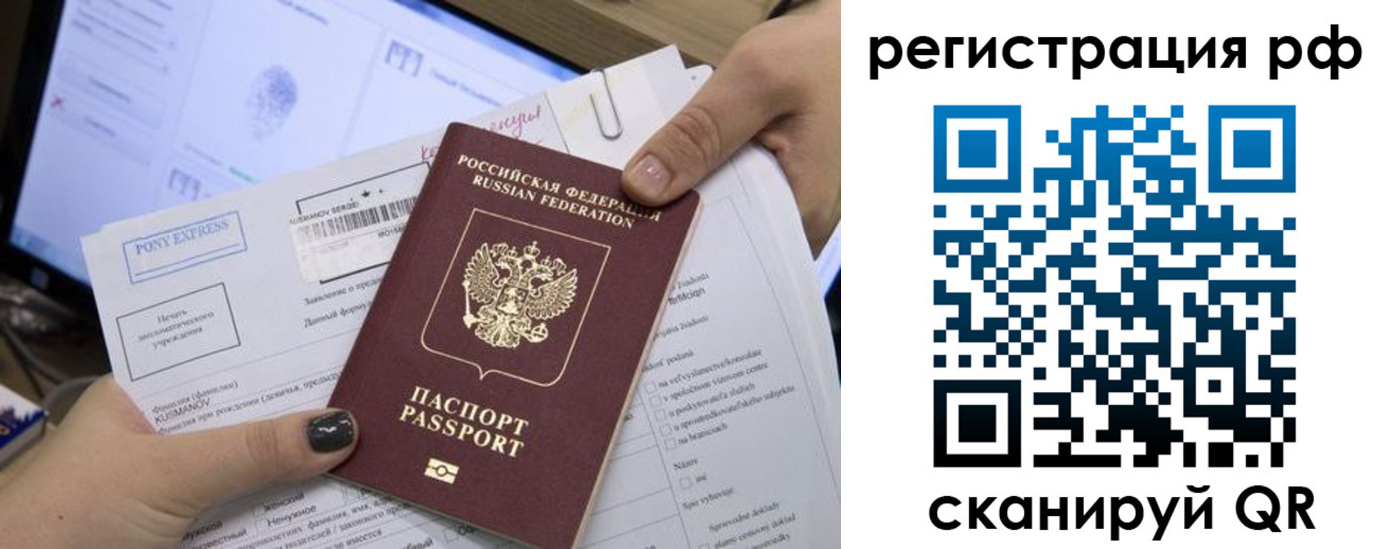 прописка гарантия в Павловске